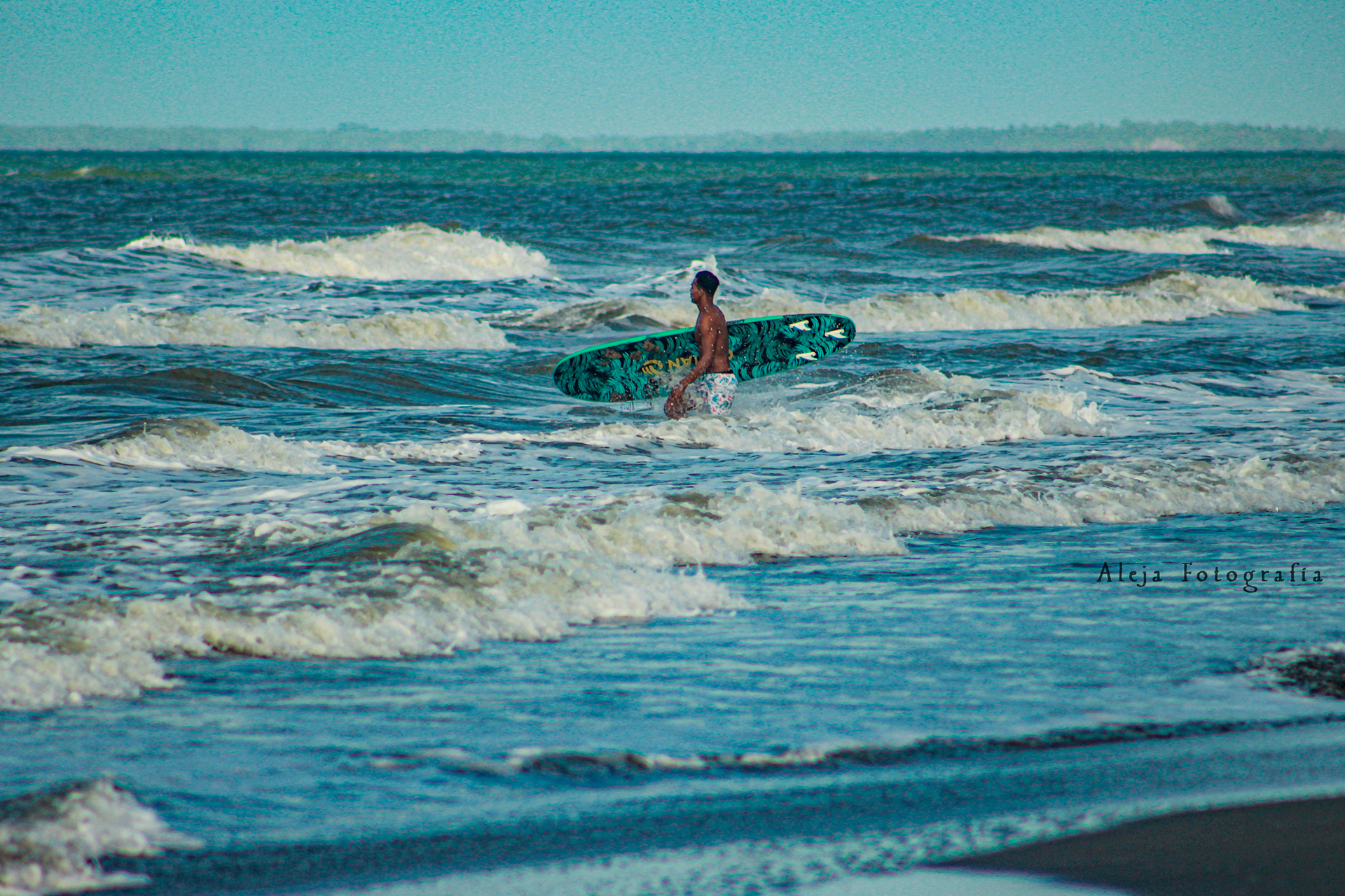 Surfista