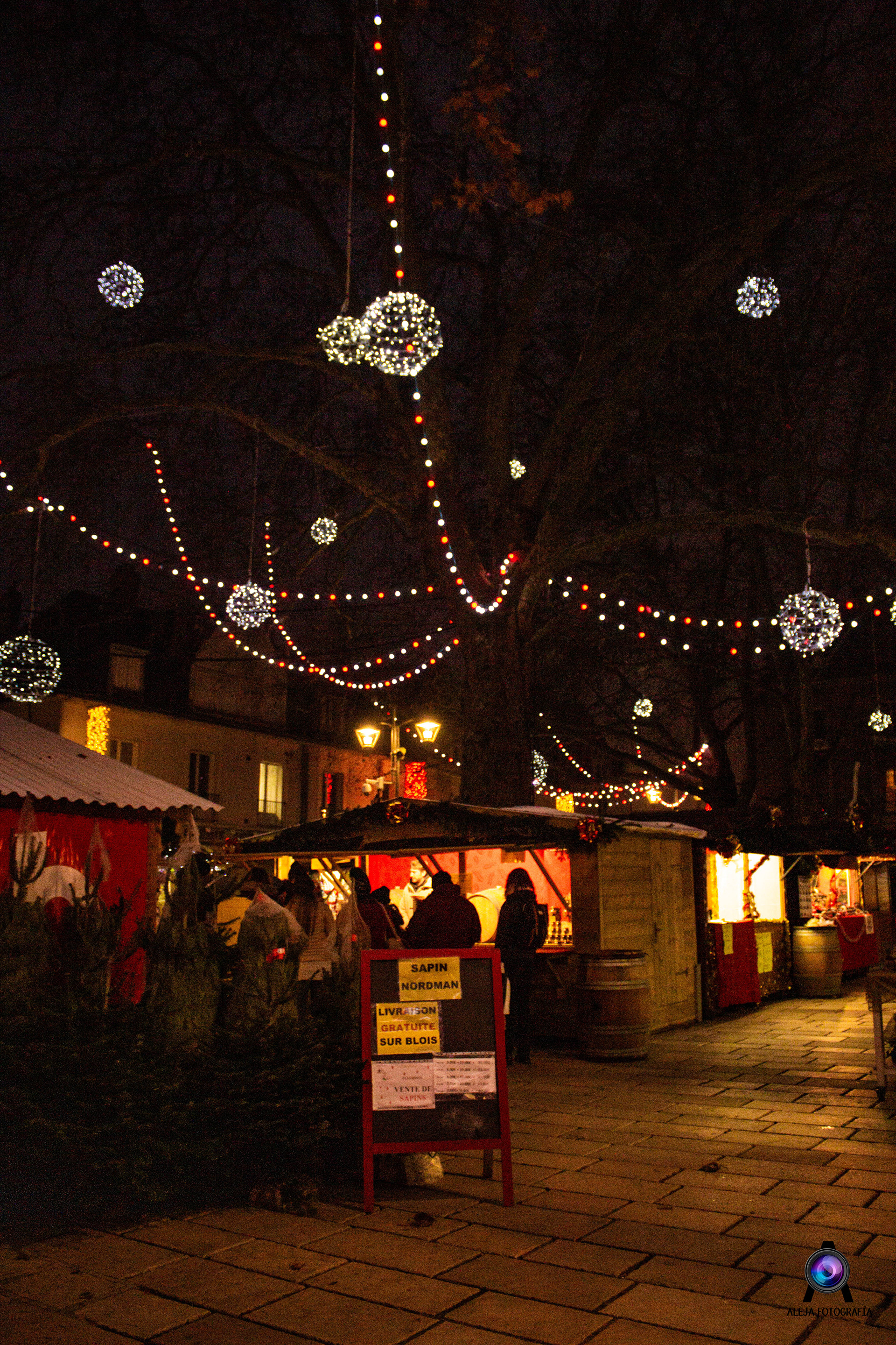 Navidad en Blois - Francia