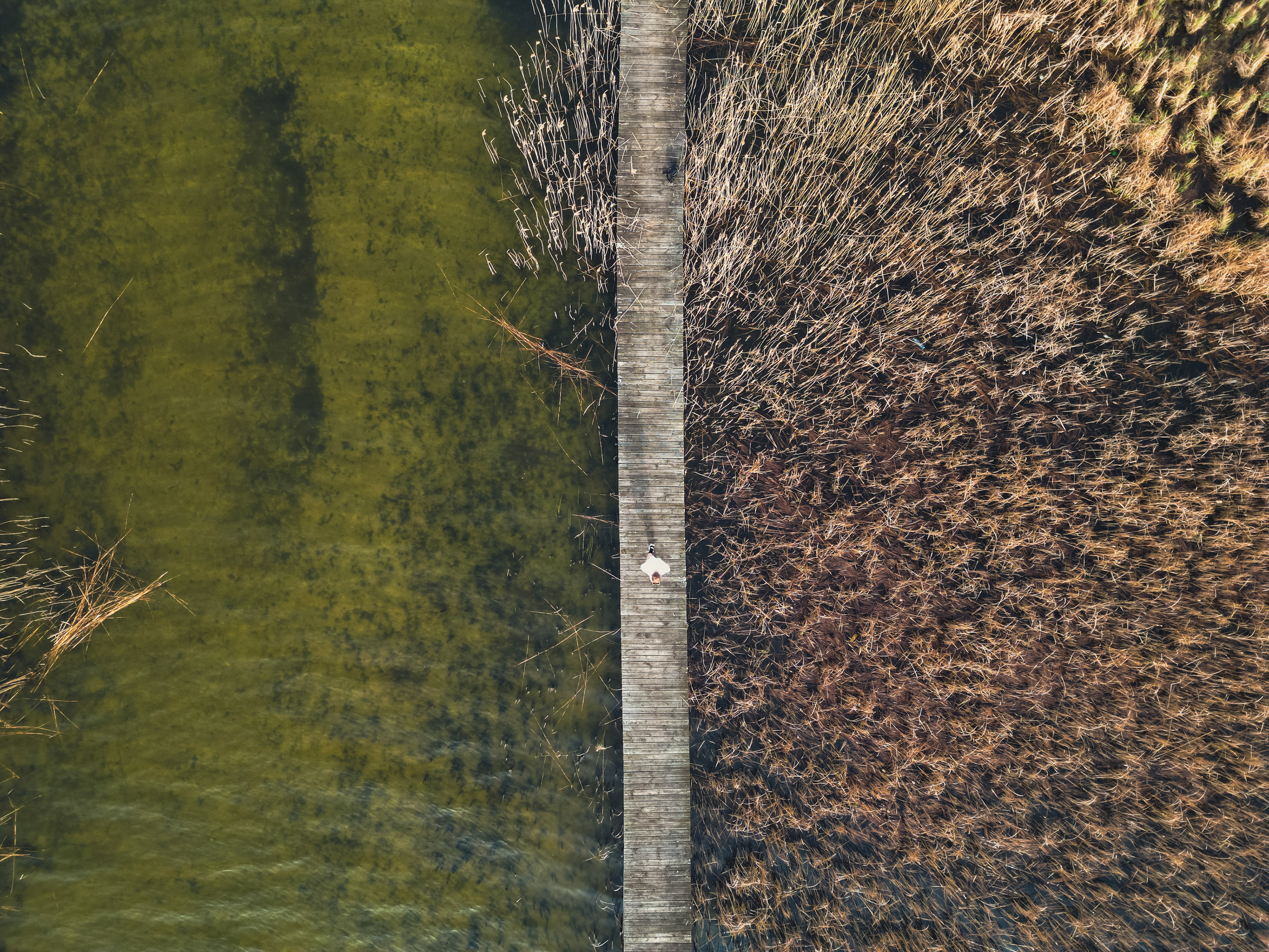 © Kacper Łaszczewski