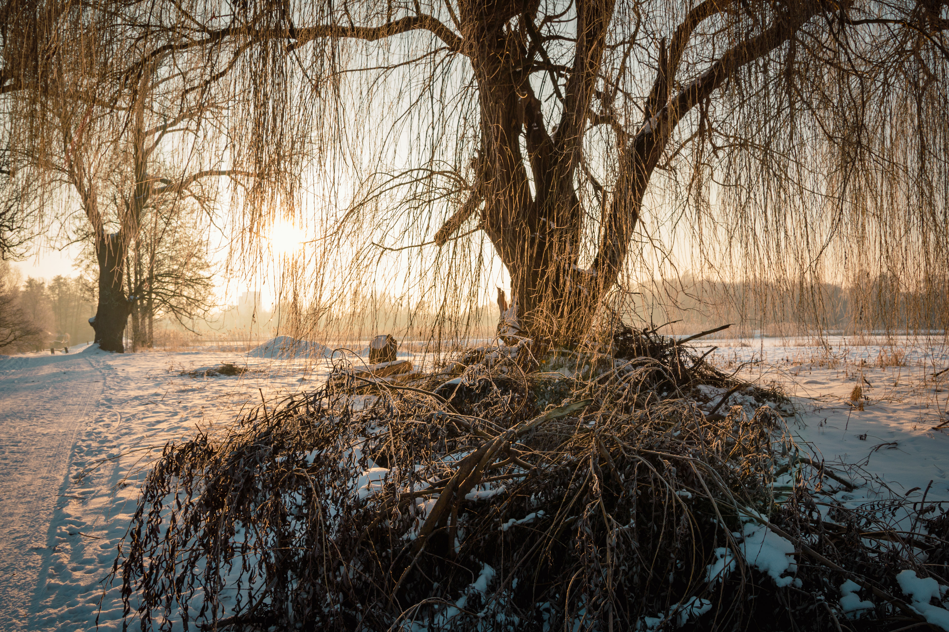© Kacper Łaszczewski
