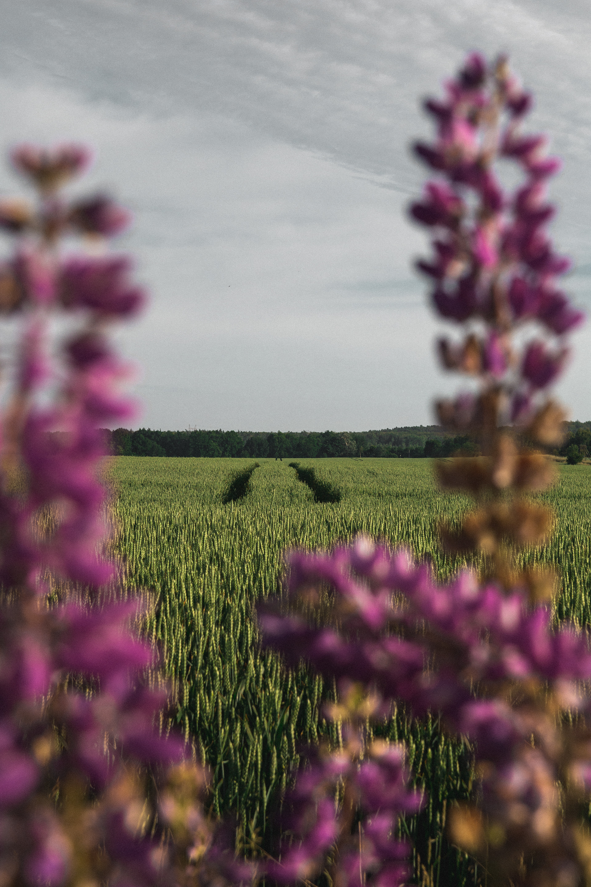 © Kacper Łaszczewski