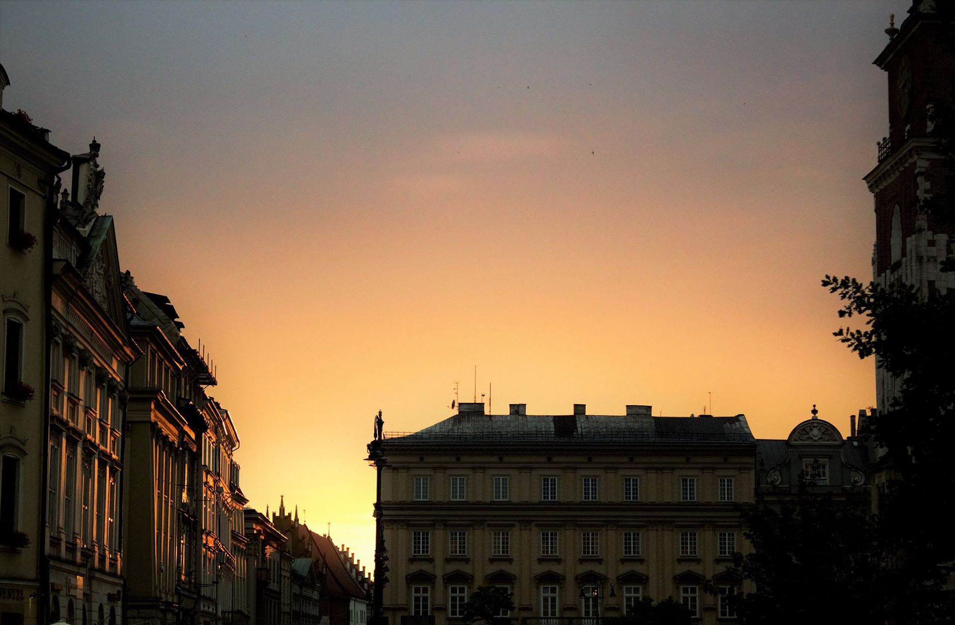 © Kacper Łaszczewski
