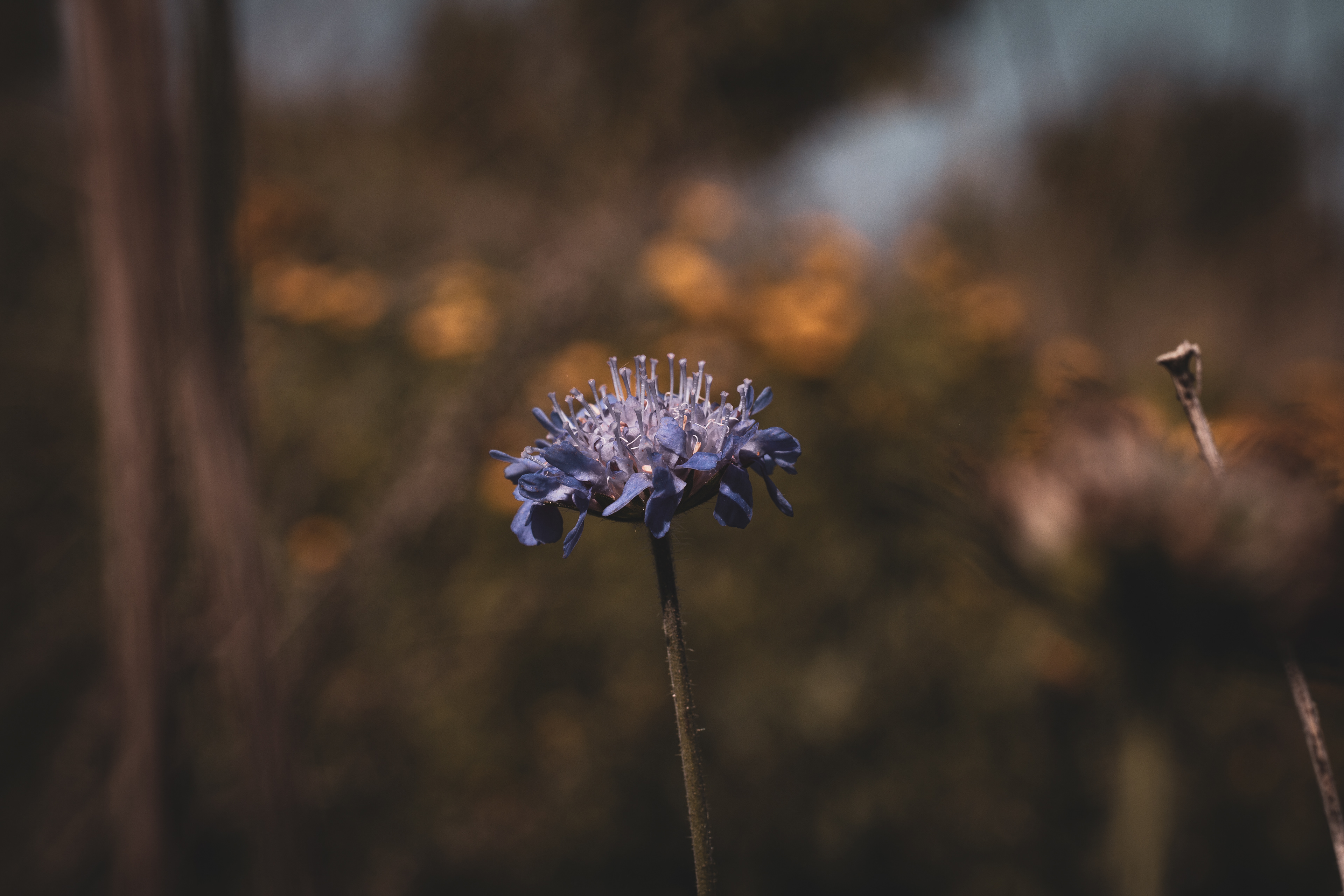© Kacper Łaszczewski