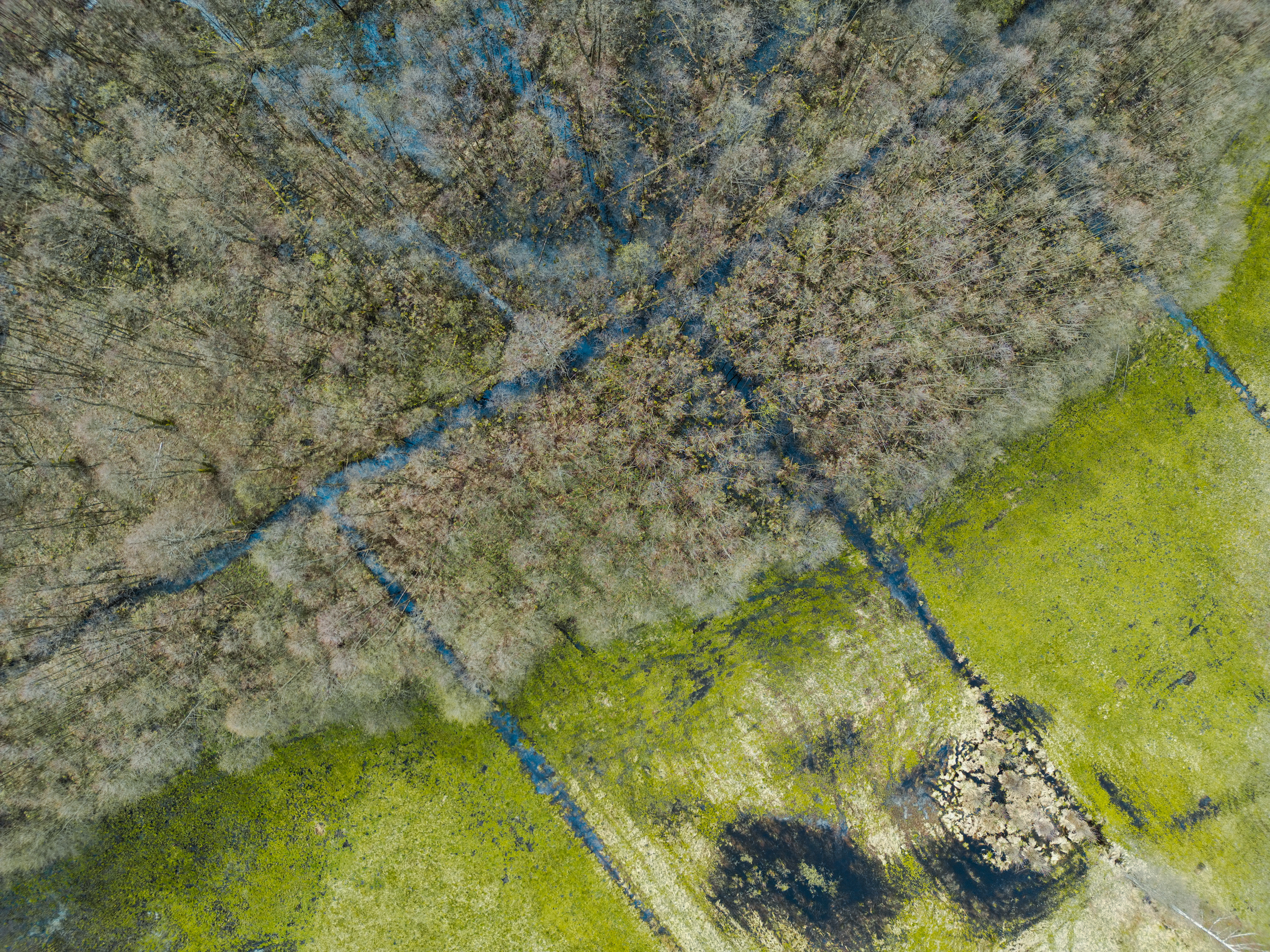 © Kacper Łaszczewski