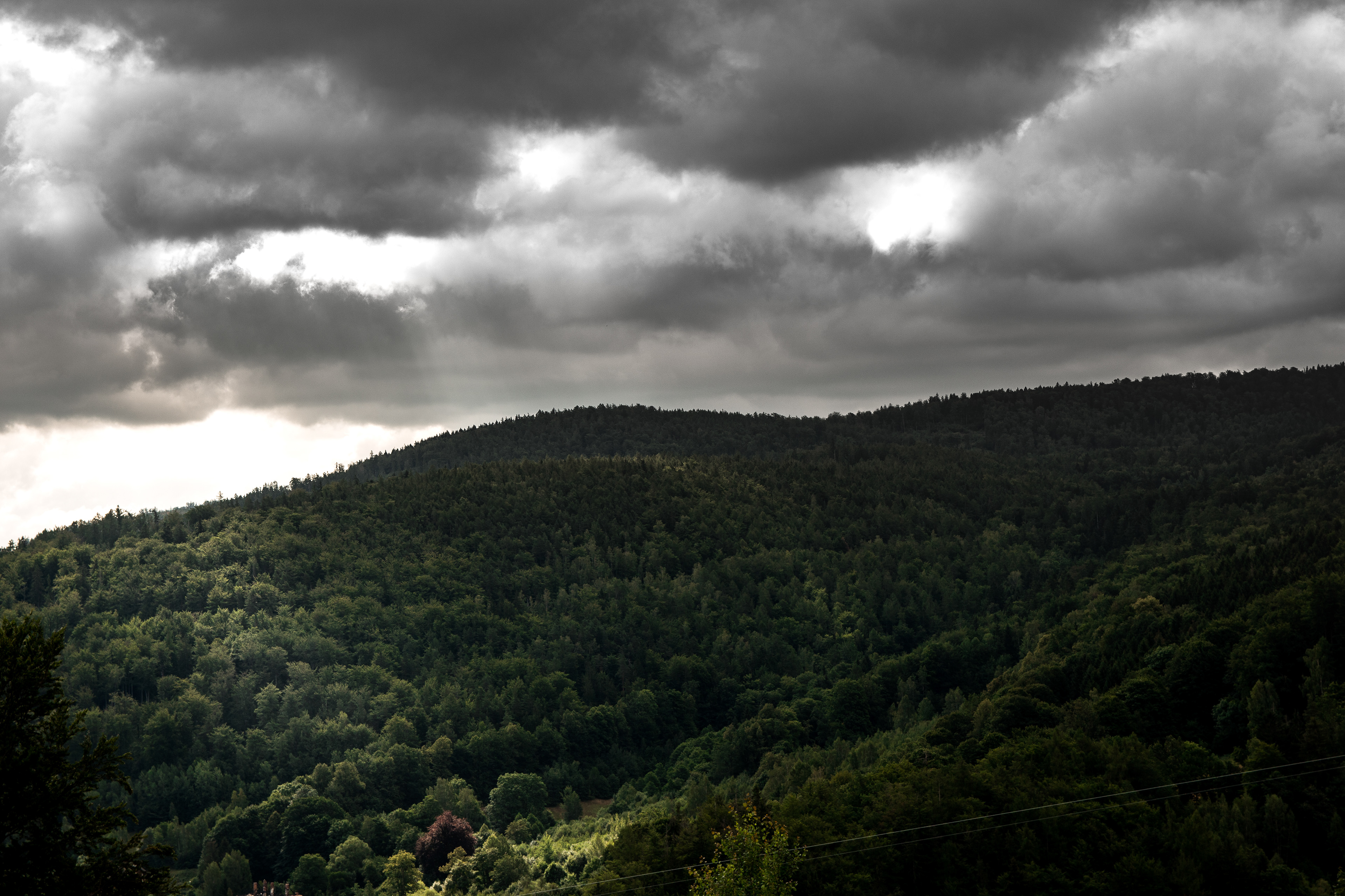 © Kacper Łaszczewski