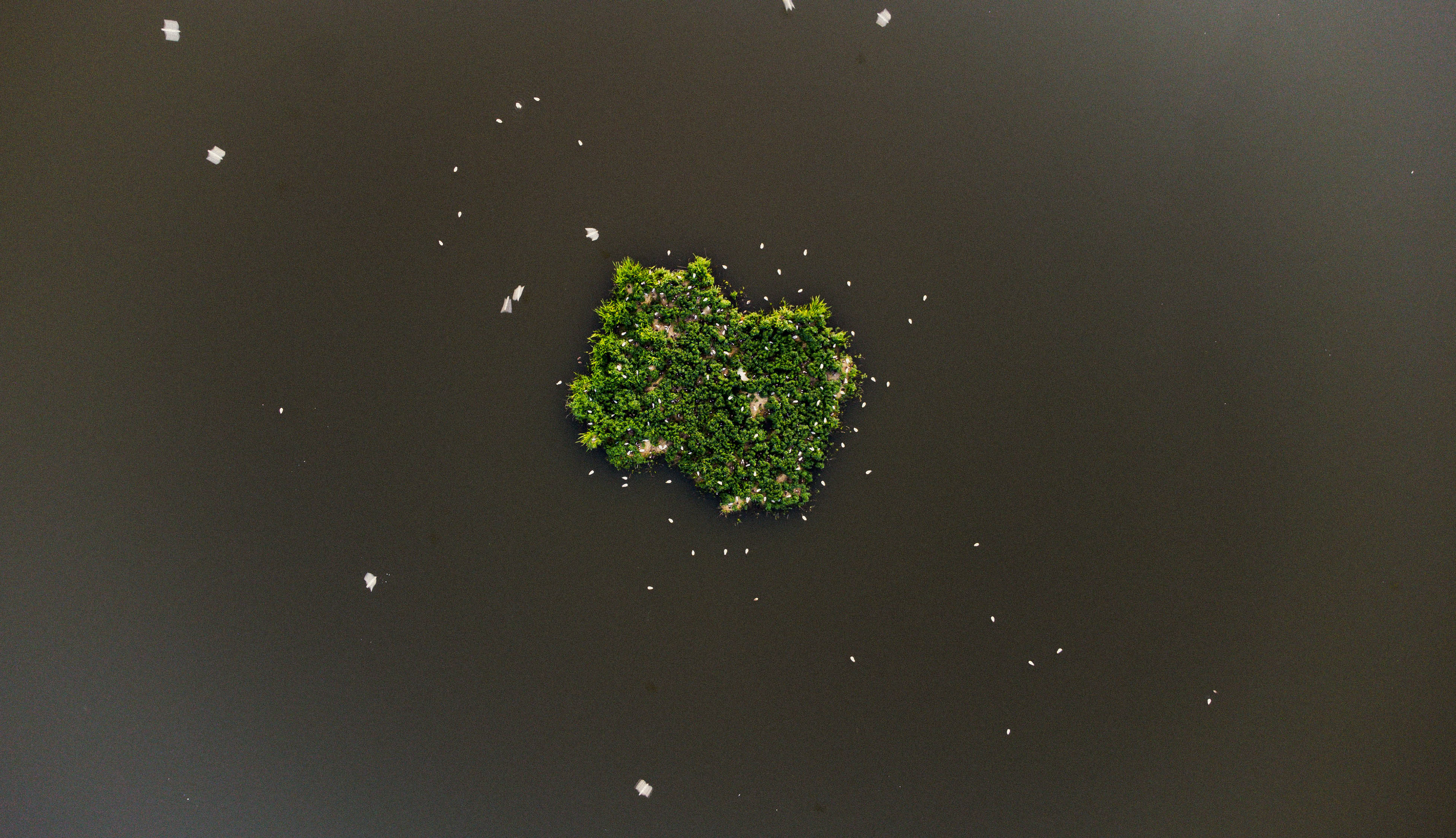 © Kacper Łaszczewski