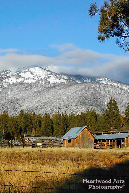 Baldy Mountain