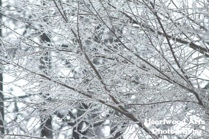 Ice Art