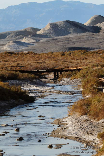 Salt Creek, Death Valley