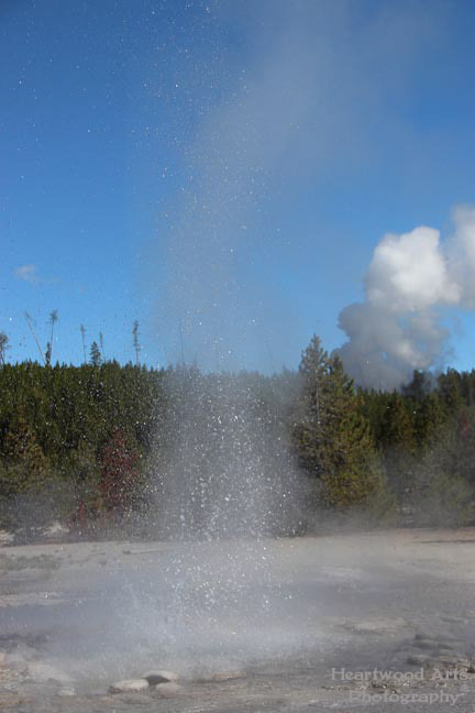 Steamboat Geyser