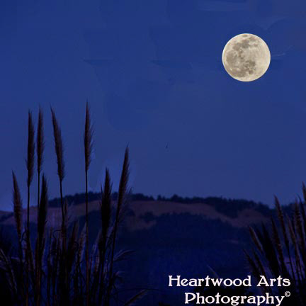 Bolinas Moonrise