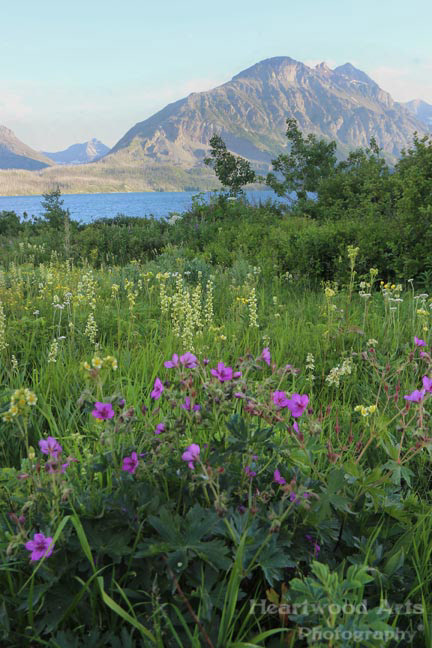 Glacier NP, MT