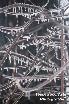 Icicles