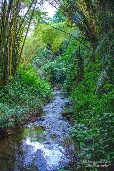 Akaka Falls, HI