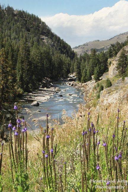 Yellowstone NP
