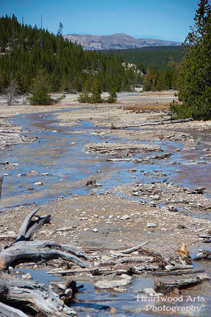Yellowstone NP