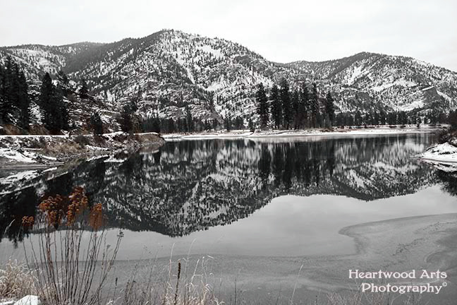 Winter Reflection