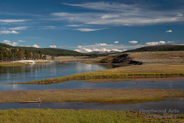 Yellowstone NP