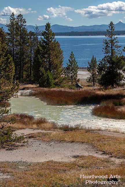 Yellowstone NP
