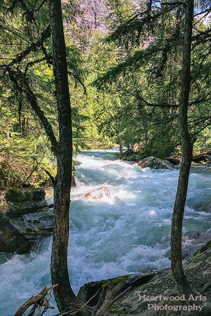 Avalanche Creek