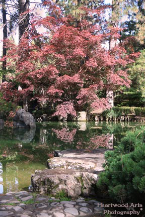Japanese Garden, Spokane, WA