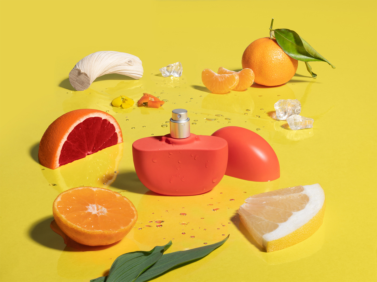 Precious Brands for Addison Rae Fragrance©2024