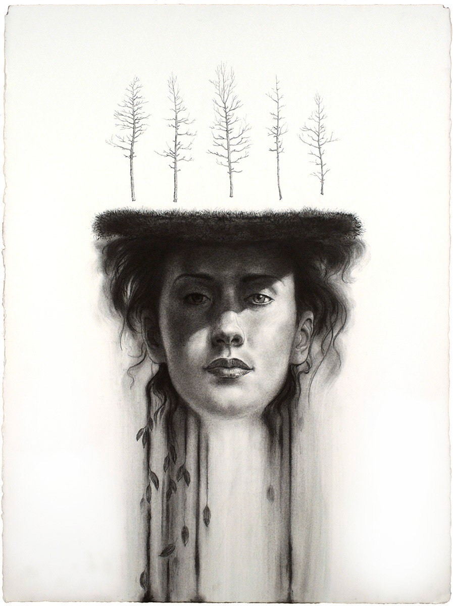 The Weight of Trees