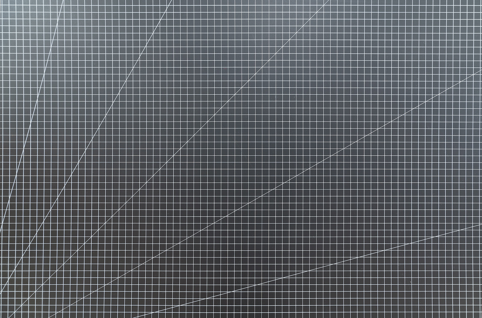Distortion once applied lens profile (f8)