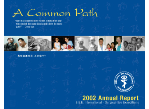 Annual Report Design