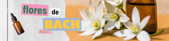 ¿Flores de bach? sesión online