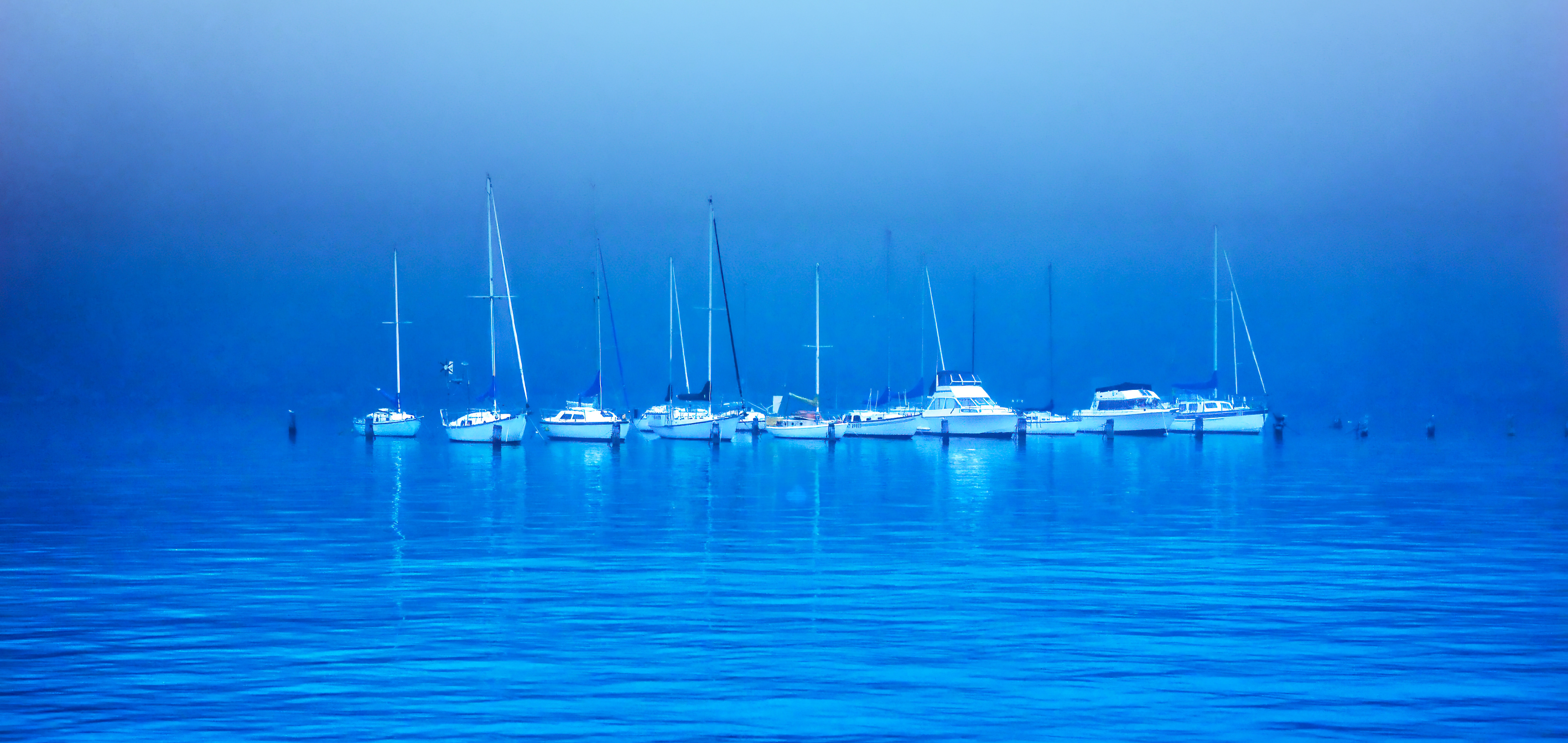 Blue Hour in the Harbour