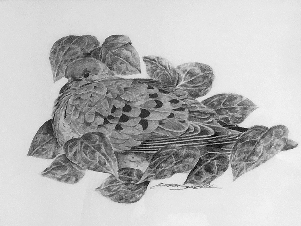 Graphite Pencil on Illustration Board