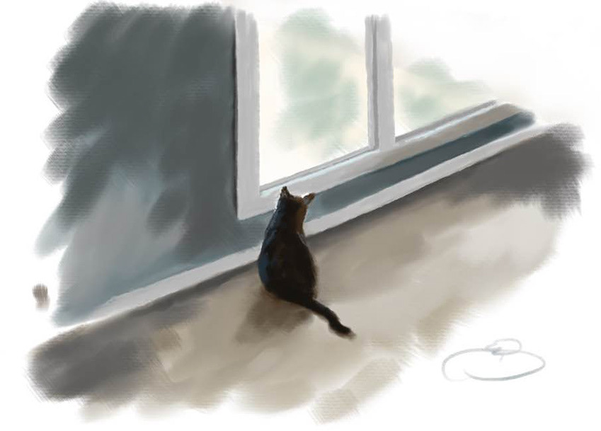 PROCREATE DIGITAL SKETCH
