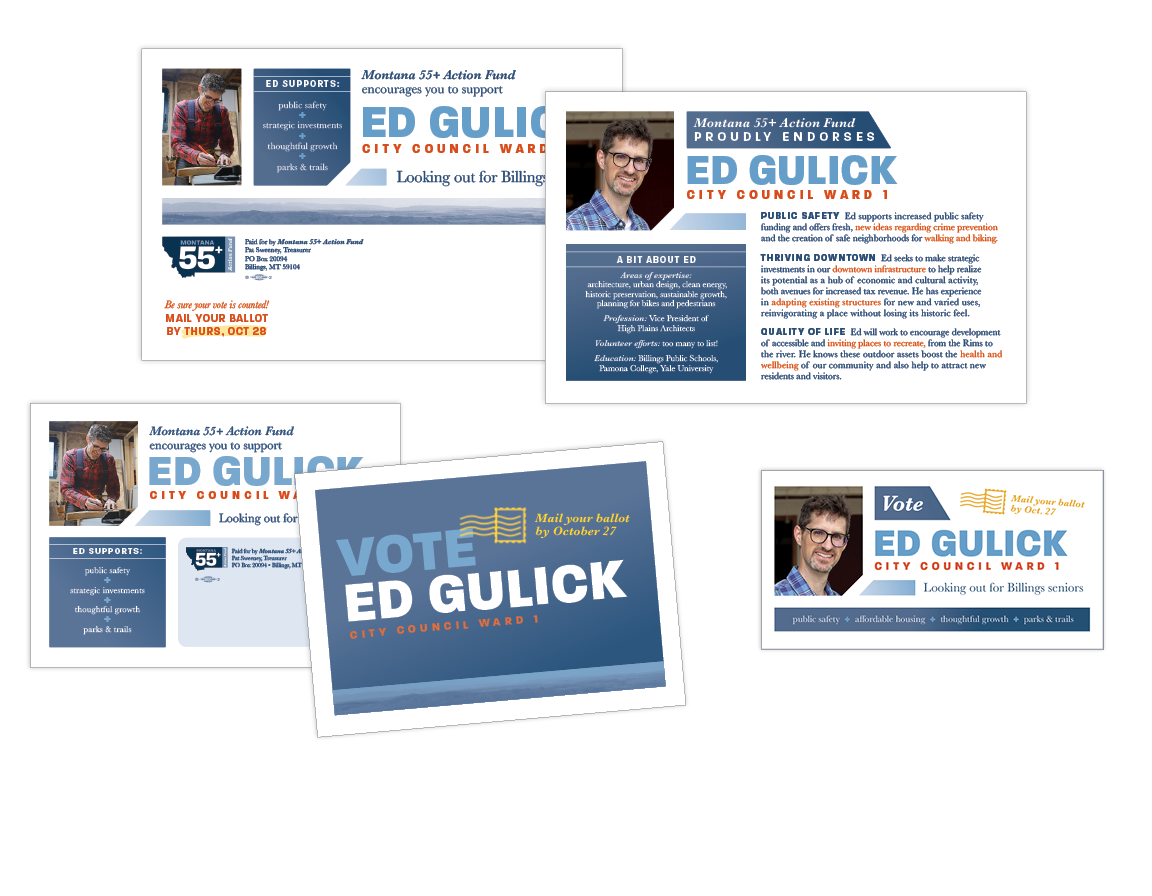 elections // direct mail + social media graphics