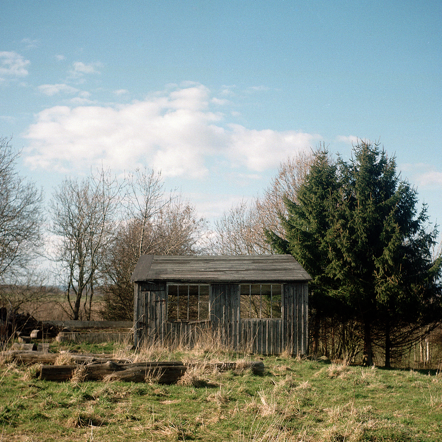 Chicken Shed