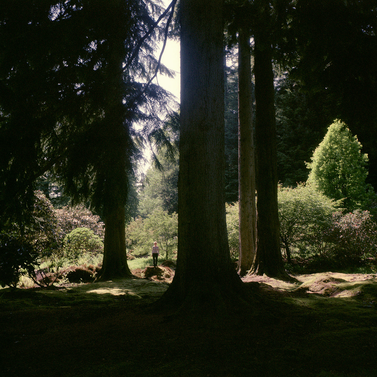 Benmore