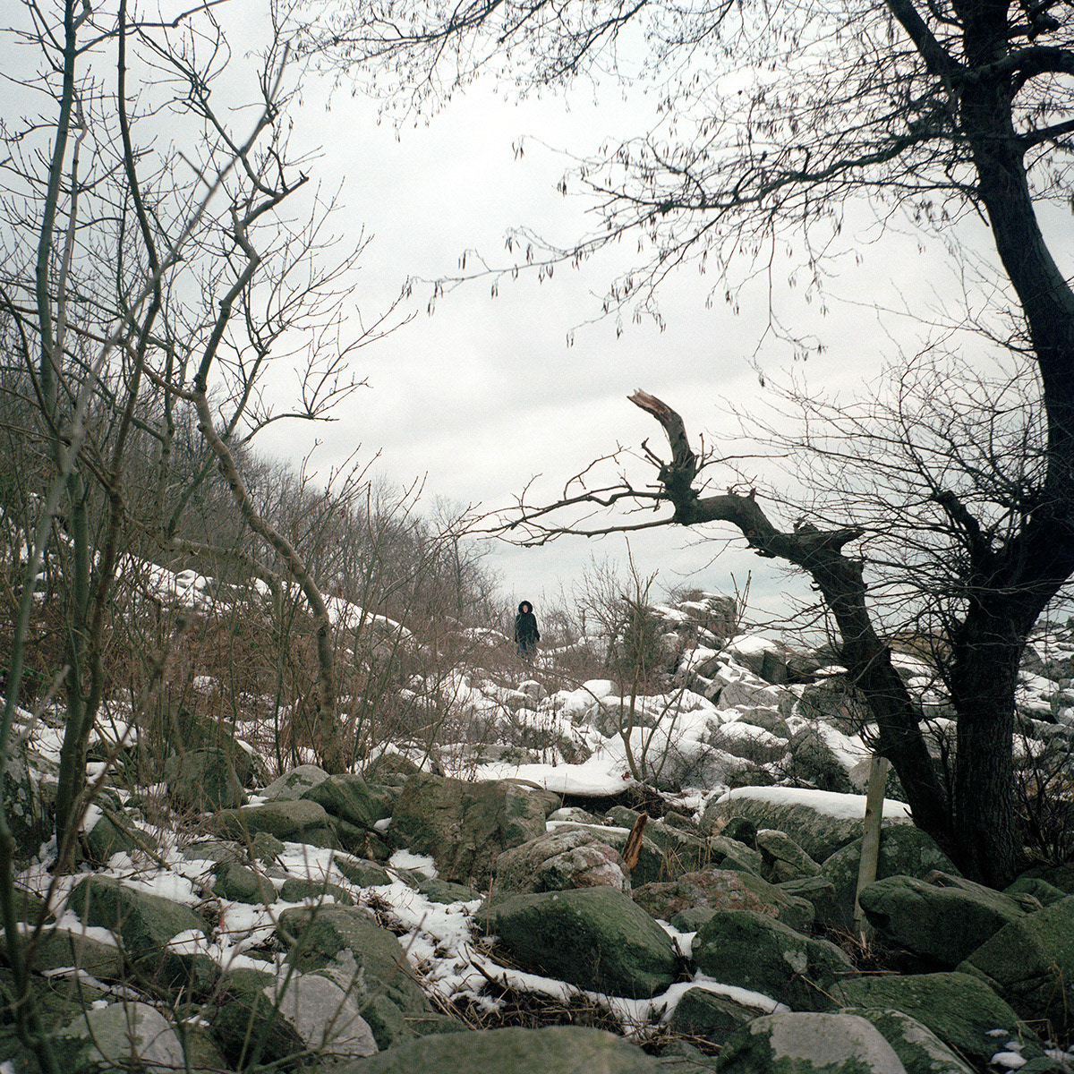Ypnasted