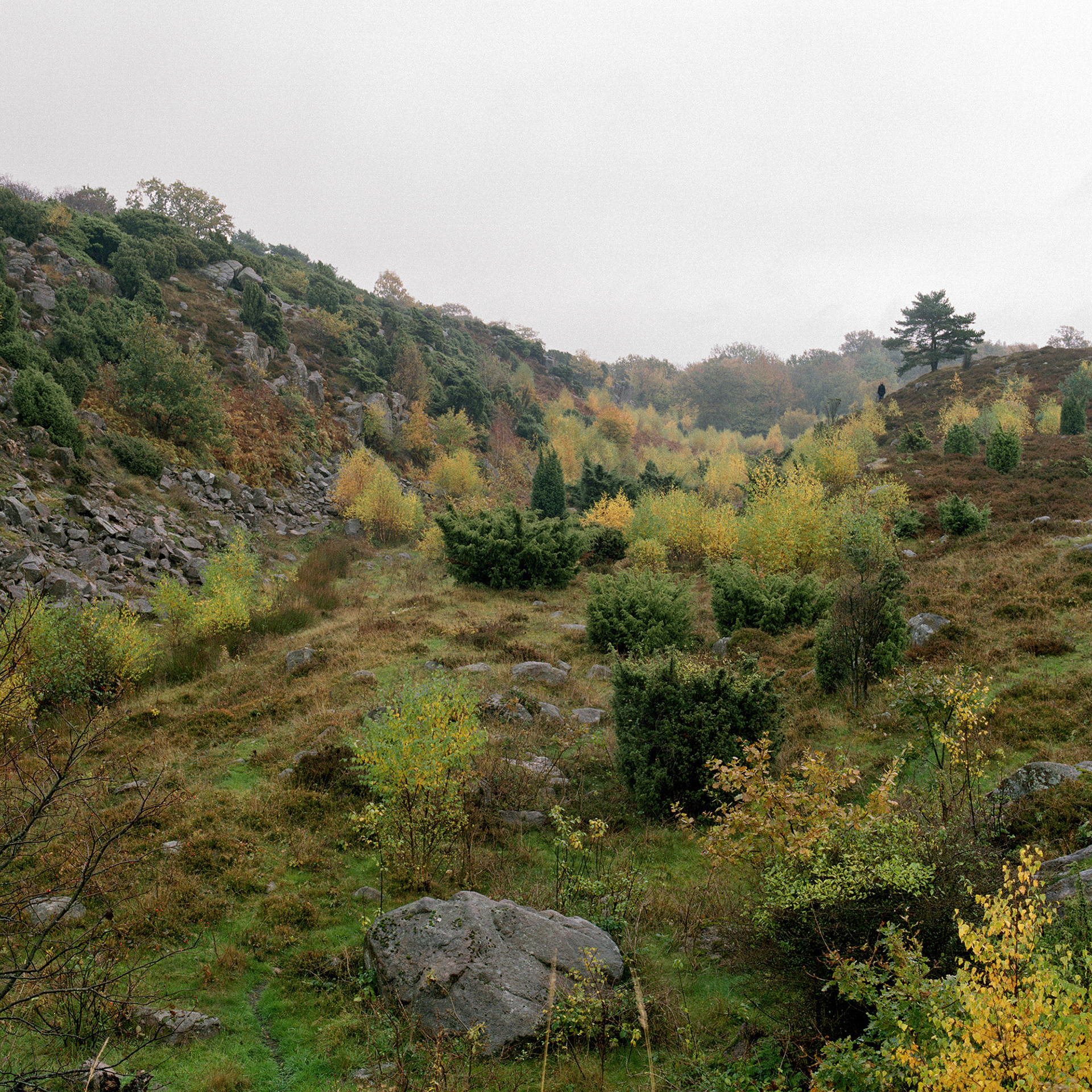 Ravnedalen