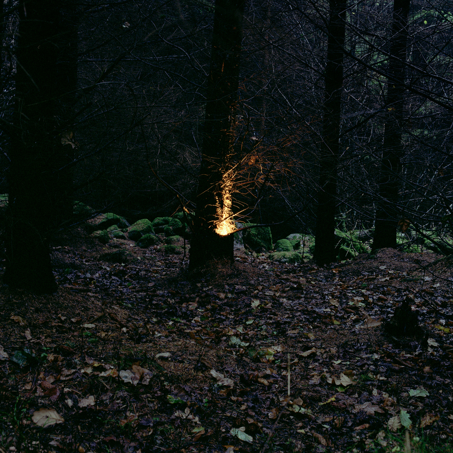 Flash-light
