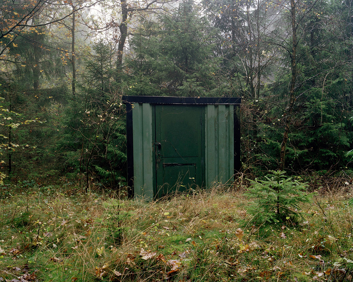 Forest Shed