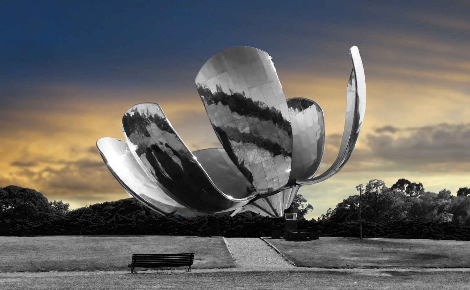 CS062C Floralis Generica 100x65 Original