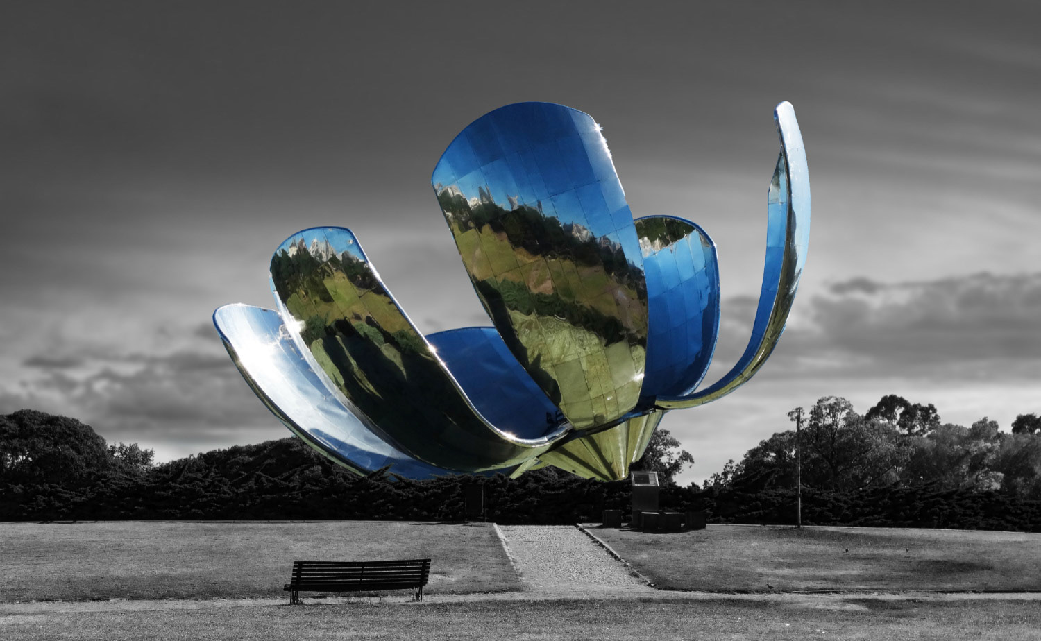 CS062C Floralis Generica 100x65 Original