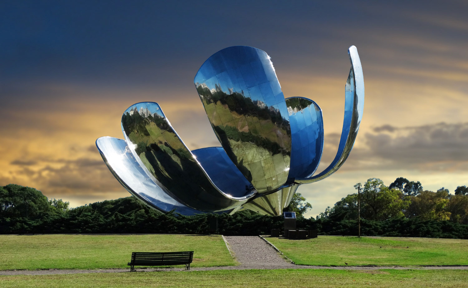 CS062C Floralis Generica 100x65 Original