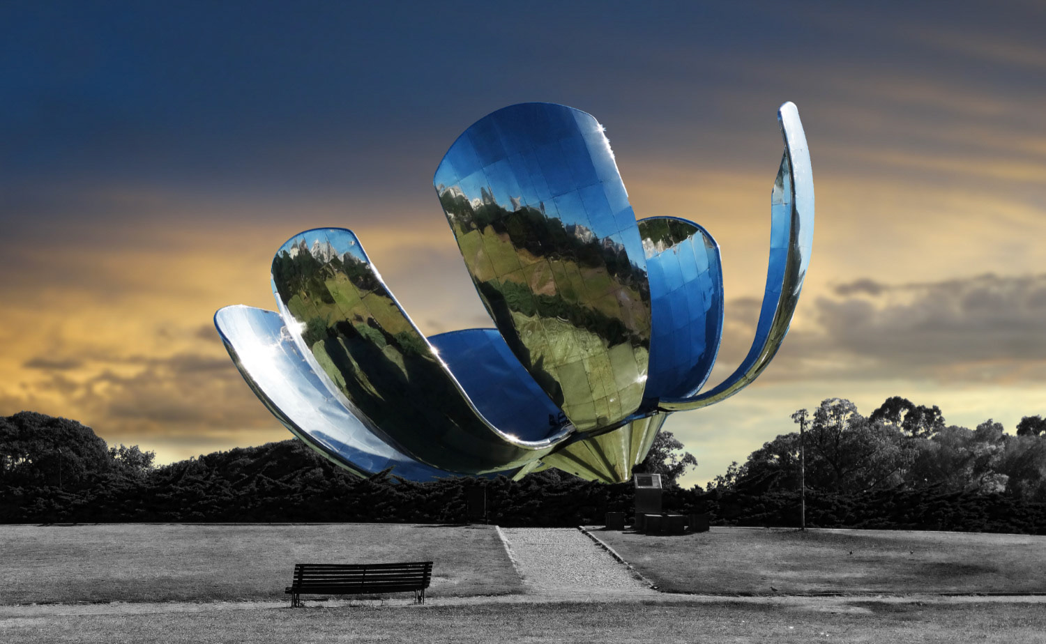 CS062C Floralis Generica 100x65 Original