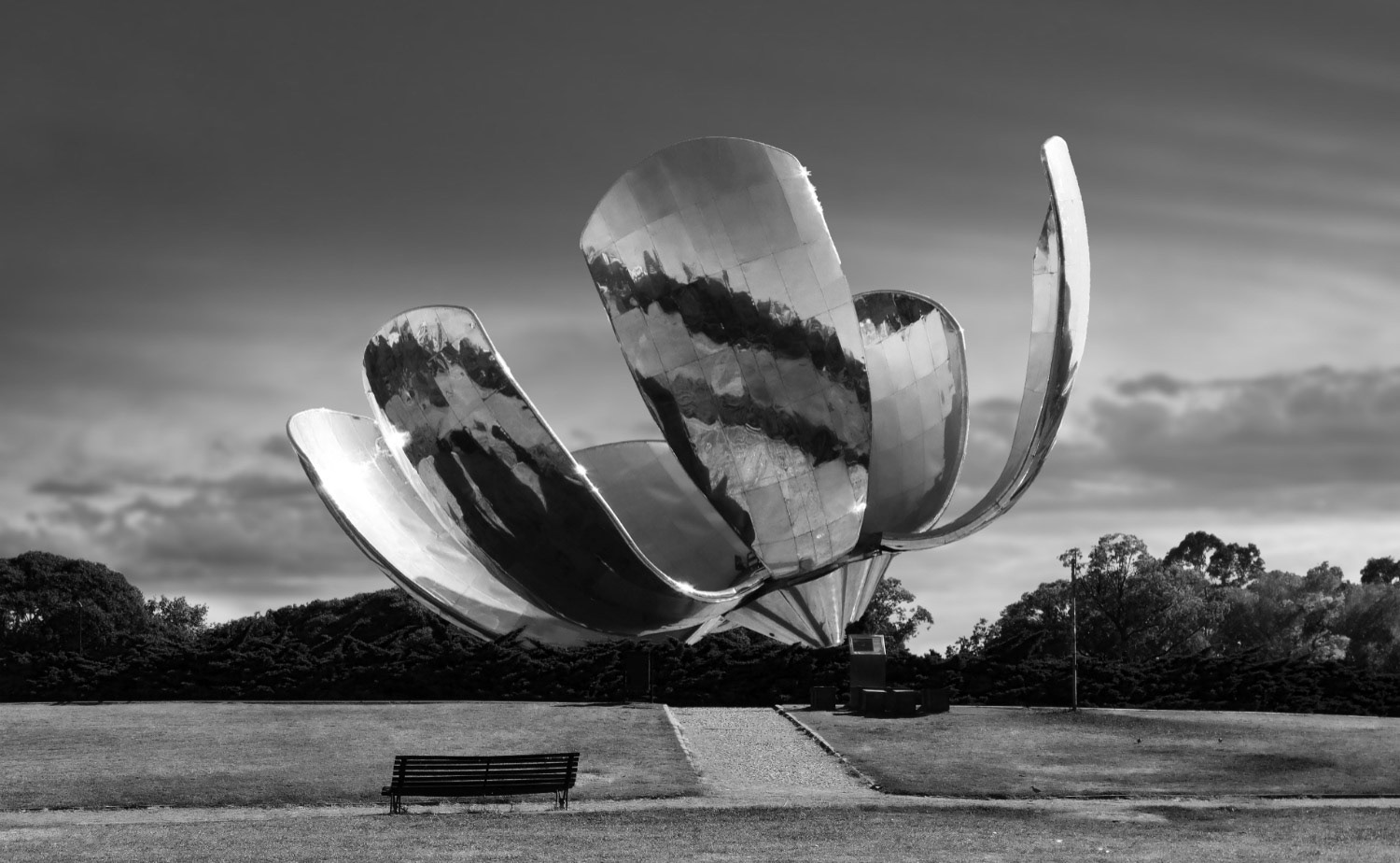 CS062C Floralis Generica 100x65 Original