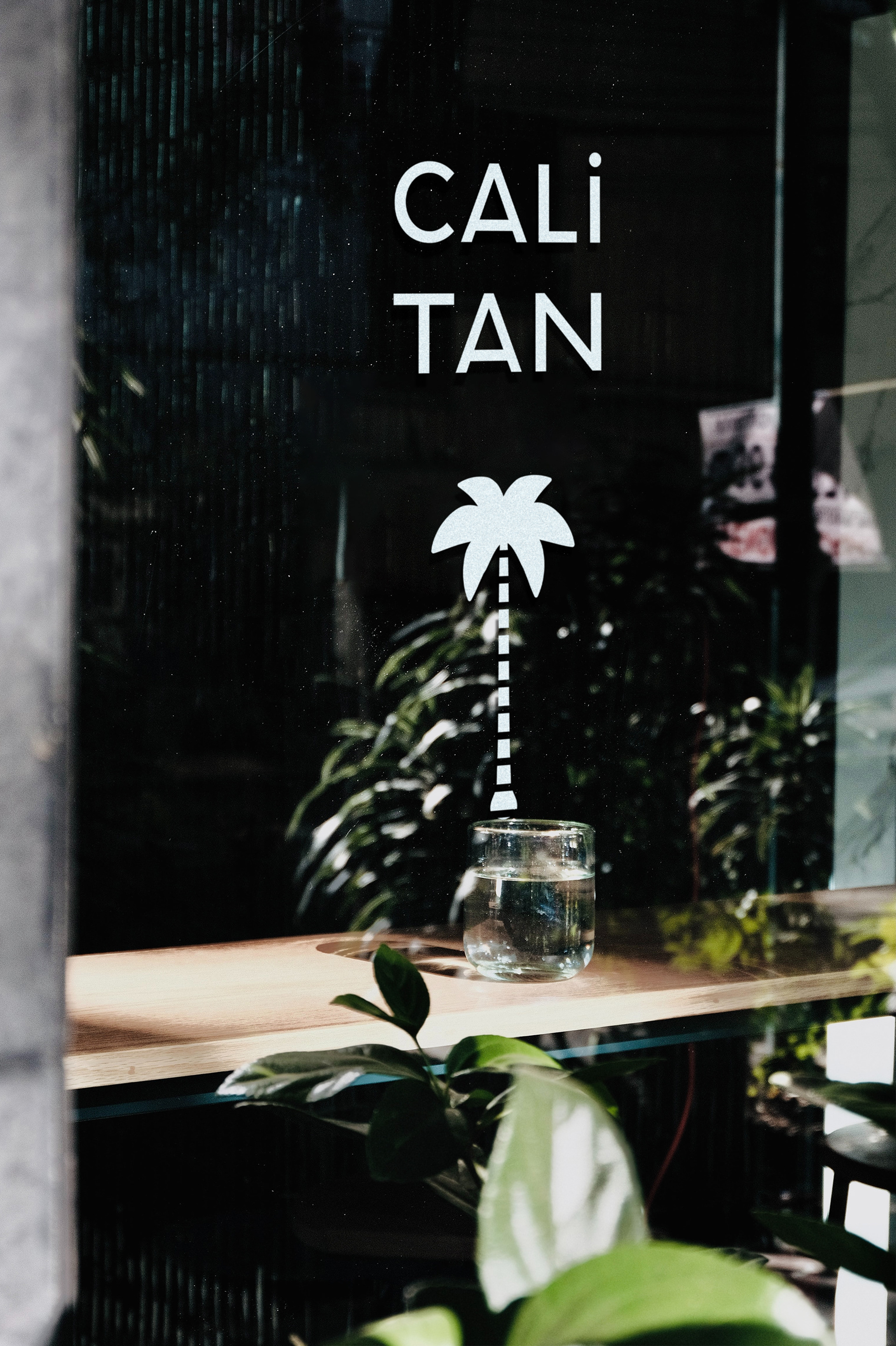 Store Window