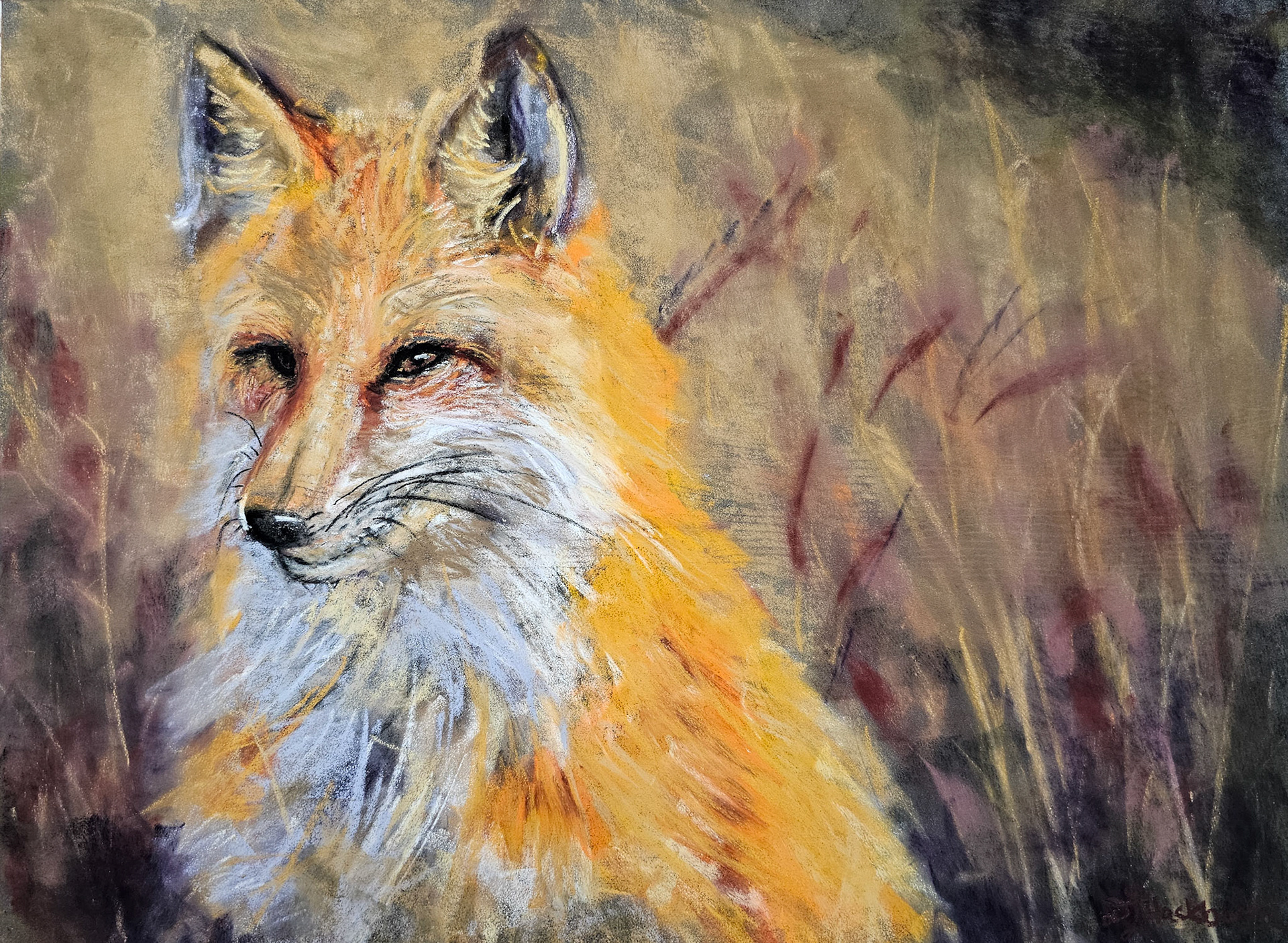 Fox 12 x 16 Anthracite Pastelmat