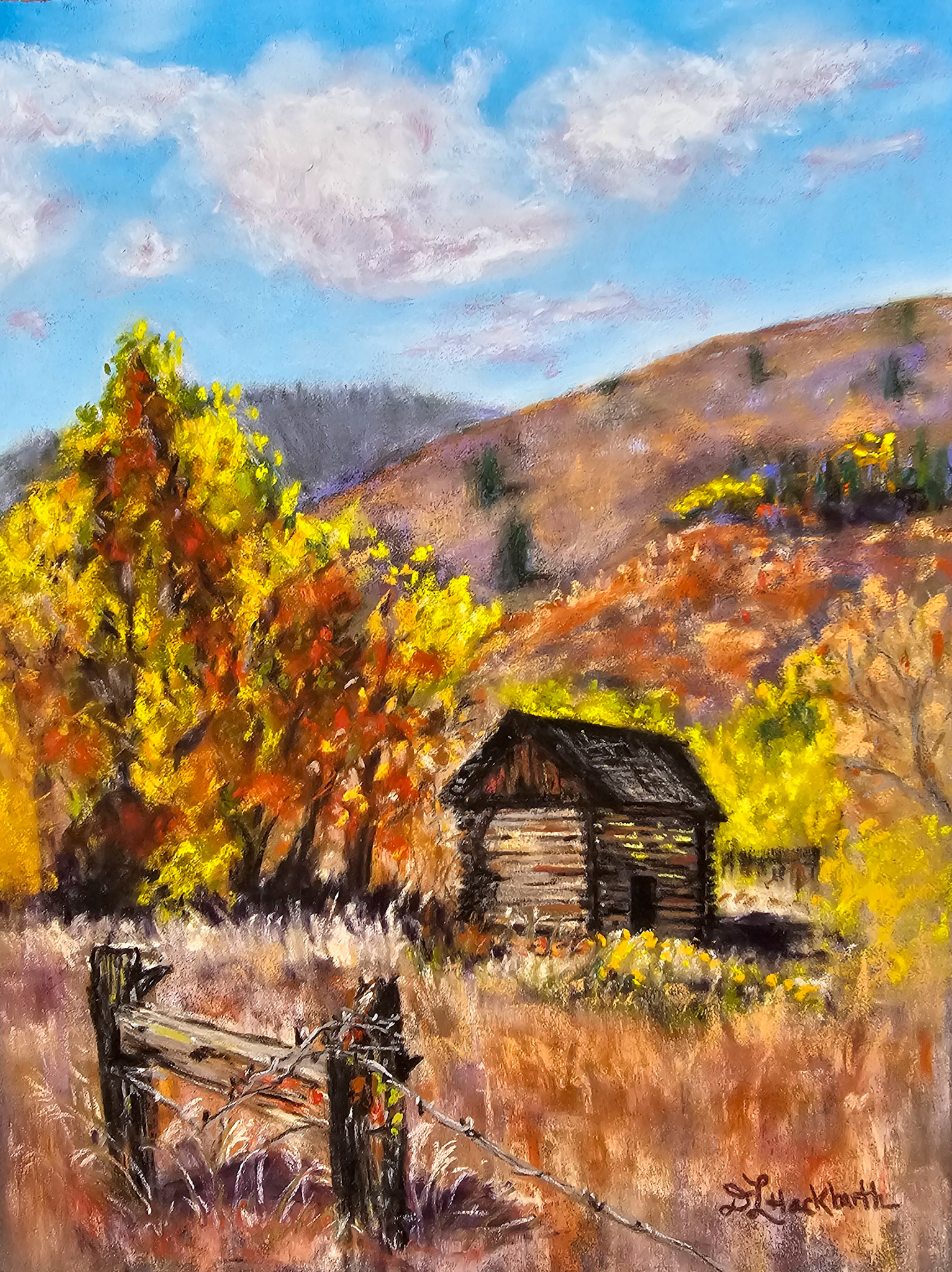 Colorado Shack x 12 Anthracite  Pastelmat