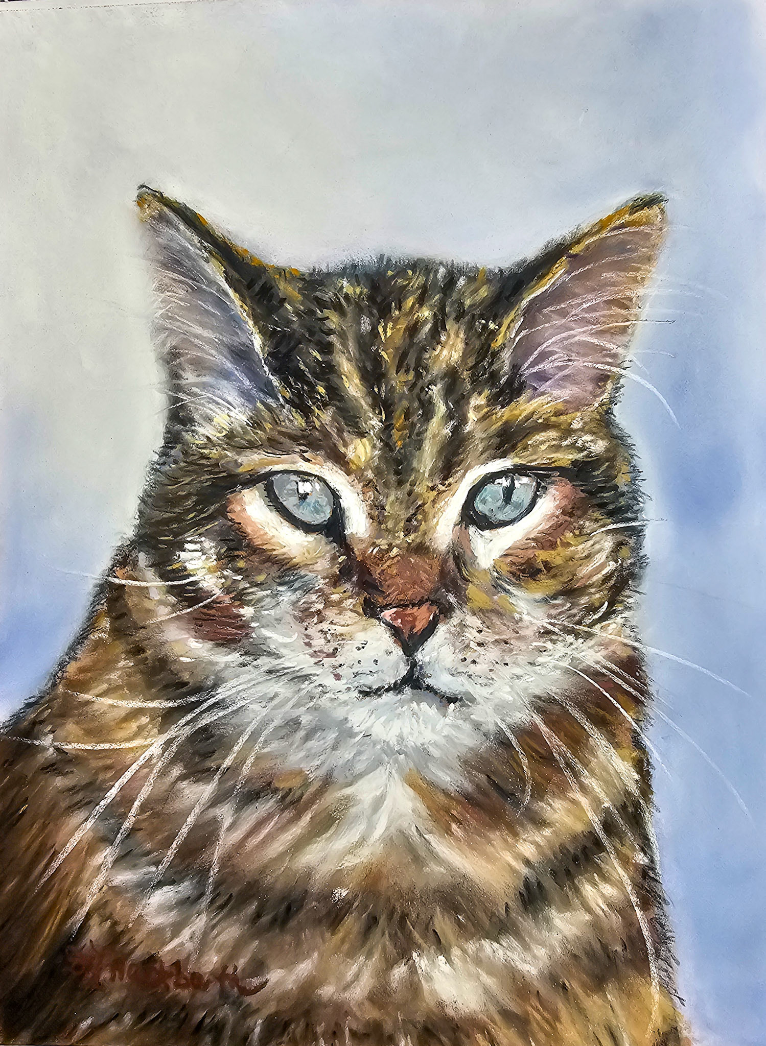 Cooper Cat 9x12 Pastelmat sienna