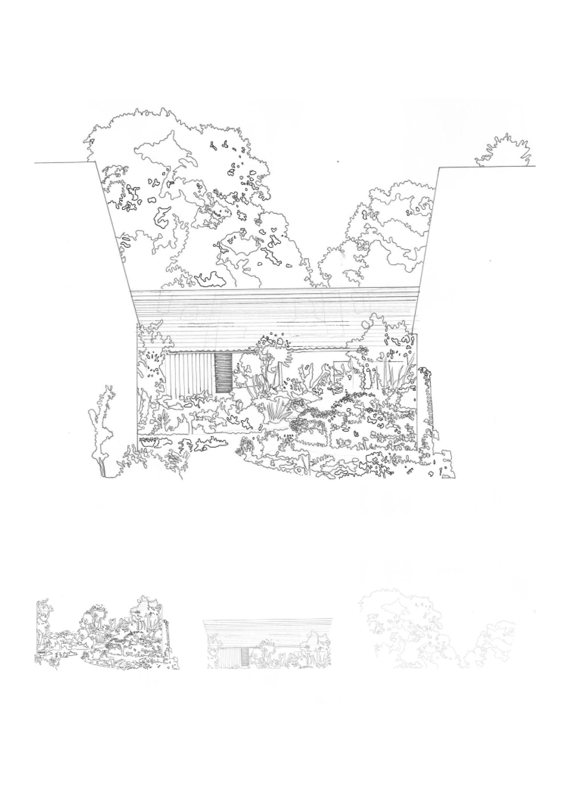 Precedent Study Sketch